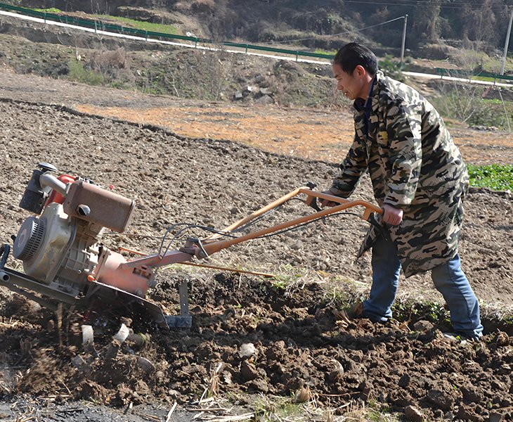 Advanced Engine Performance