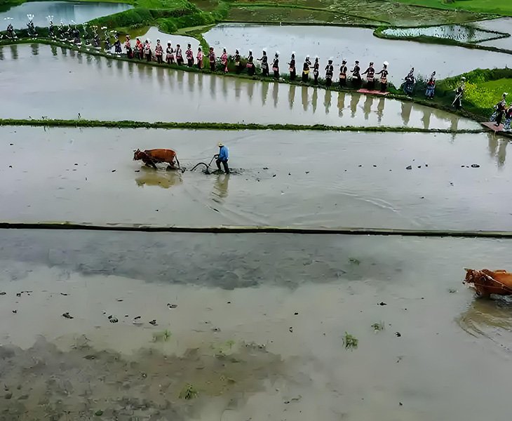 Offer OEM Production with Your Gasoline Tiller