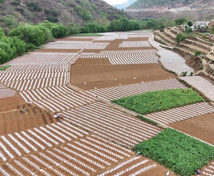 Professional Design & Manufacturing