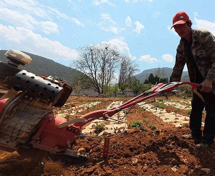 The Diesel Tiller Quality