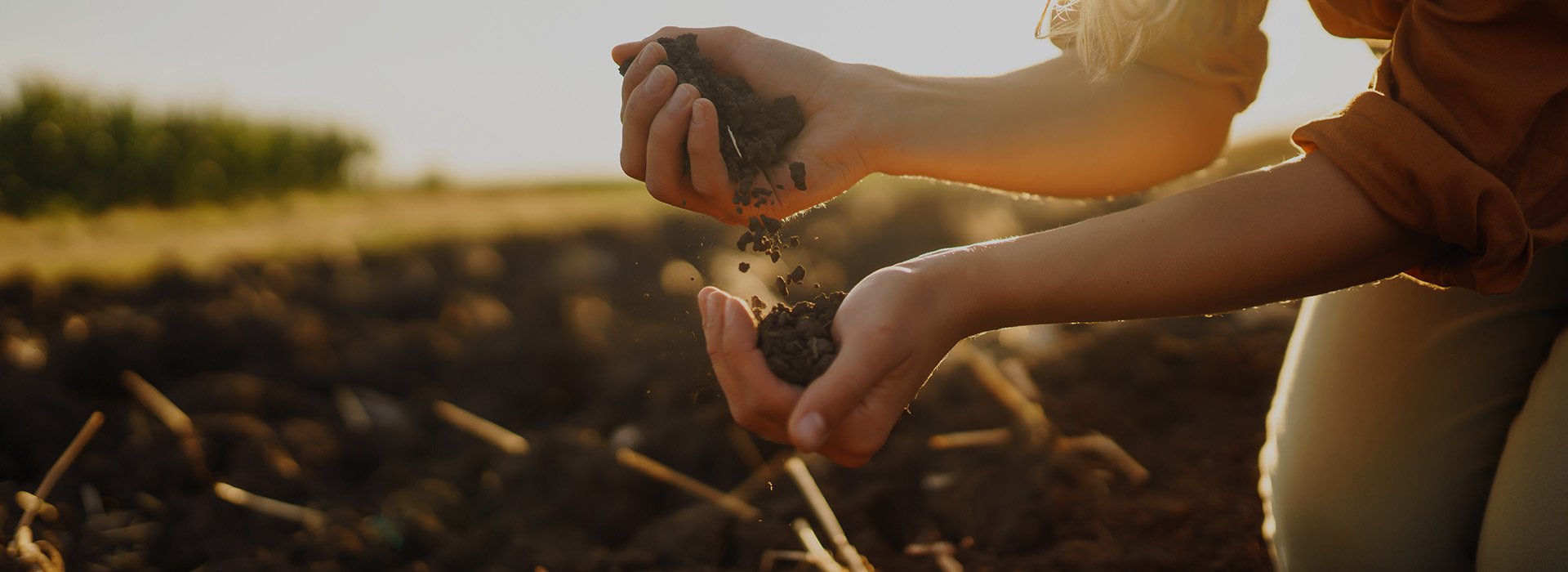 YINCHOU Diesel Power Tiller